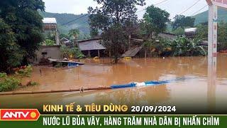 Hàng trăm hộ dân ở Quảng Bình bị cô lập trong nước lũ | Bản tin kinh tế và tiêu dùng ngày 20/9 |ANTV