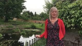 Palmers Green Tales, the story of Conway Pond