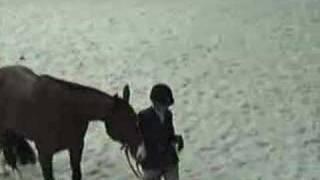 Lilly Hahn at the Washington International Horseshow