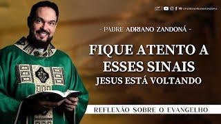 Homilia Diária | Liturgia de Hoje |Palavra do Dia - Padre Adriano Zandoná