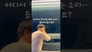 여름전기세 걱정 No! 이거 하나 붙였더니 #전기세 #단열필름 #여름전기세 #셀프시공 #shorts #셀프 인테리어 #집꾸미기  #인테리어
