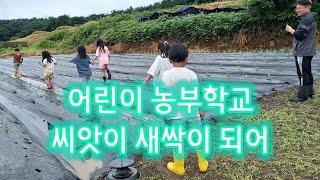 어린이 농부학교ㅣ씨앗이 새싹이 되어ㅣ강사: 김철호 장영애 #농부학교 #김철호 #장영애
