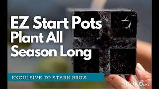 EZ Start Potted Fruit Trees from Stark Bro's - Why These Can Be Planted All Season Long