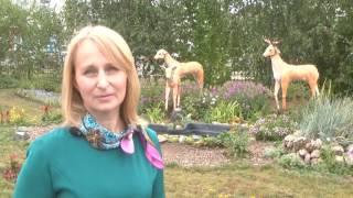Из увлечения - в профессию!