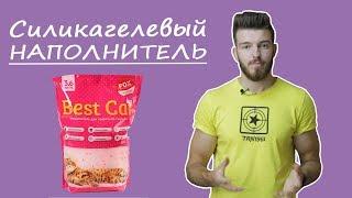 Как подобрать наполнитель для лотка?  Силикагелевый наполнитель