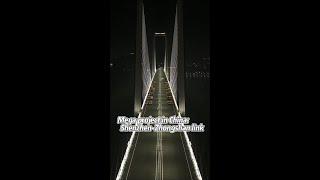 Mega project in China: Shenzhen-Zhongshan link