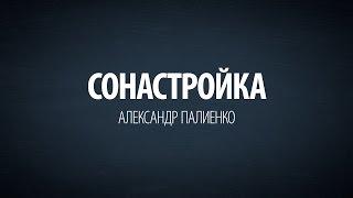 Сонастройка. Александр Палиенко.