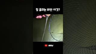 침 질질 흘리는 이게 비싼 조개?! #shorts