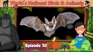 Episode 10 | World's National Birds and Animals | Numismatics Academy | Change2e