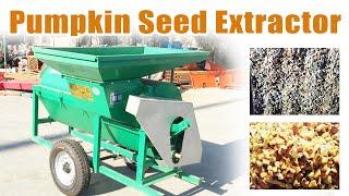 Pumpkin Seed Extractor: Save Time and Increase Yield #farming #agriculture  #pumpkin #watermelon