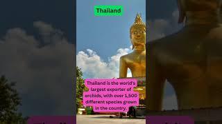 #thailand #thailandfacts #traveltheworld #interestingfacts #countriesfacts