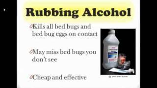 How to Get Rid of Bed Bugs