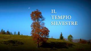 IL TEMPIO SILVESTRE