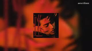 《Outro：爱与痛 Love and Pain by 蔡徐坤 / Cai Xukun / KUN》Chinese / Pinyin / English Lyrics Video