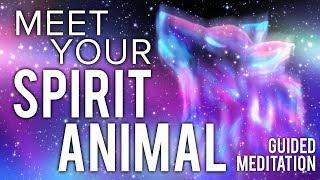 Meet Your SPIRIT ANIMAL Guided Meditation. Communicate With Your Animal Spirit Guide.