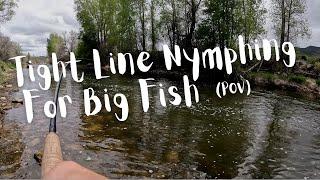 Tight Line Nymphing For Big Fish - POV