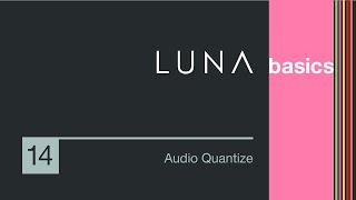 LUNA Basics - How to Quantize Audio in LUNA Recording System