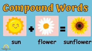 Compound Words for Kids