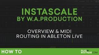 W.A. Production InstaScale First Look | MIDI Routing in Ableton Live Tutorial