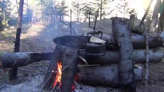 Выживание в лесу Балаган костер Нодья Как отпугнуть медведя Охота Рыбалка Выживание в тайге Сибирь