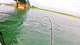 Kayak Fishing New Waters for an UNEXPECTED Bite!!! Bycatch Slam!