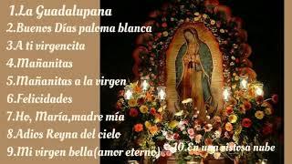 Cantos a la Virgen de Guadalupe