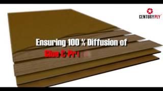 CenturyPly - Glue Line Protection (GLP)