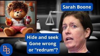 Fl V Sarah Boone Motions and Voir dire