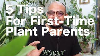 5 Tips for First Time Plant Parents | Getting your first plant