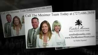 St. Petersburg Florida Real Estate Agent's Testimonials_Estelia Mesimer