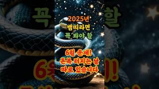 2025년 뱀띠라면 꼭 봐야 할 6월 운세! 돈복 터지는 날 따로 있습니다