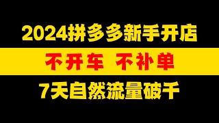 【运营干货】拼多多新手开店，不开车不补单，7天也能自然流量破千