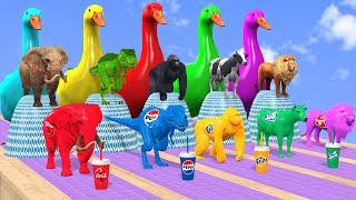 5 Giant Duck Cartoon, Long Slide Game With Cow Elephant Lion Gorilla T-Rex, 3d Animal Game