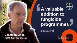 How iblon performs against Septoria