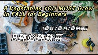 10 BEST Vegetables Must Grow in Fall/Winter 秋天/冬天種什麼蔬菜最好