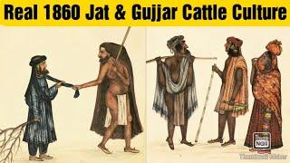 1860 Jat & Gujjar Cattle Culture in Tarikh-i-Pakhtunwa Rajput क्षत्रिय Raja Jaipal Janjua State