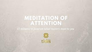 Meditation of Attention