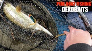 PIKE BOAT FISHING DEADBAITS VLOG 2