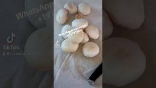 Marinated mushrooms  #workglobally ️️️