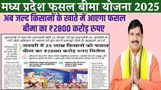 मध्य प्रदेश फसल बीमा 2025/fasal bima Yojana 25 लाख किसानों को 2800 करोड रुपए जल्द मिलेगा/