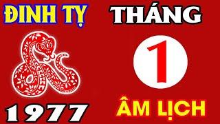 Xem Tử Vi Tháng 1 Âm Lịch Năm 2025 Cho Bản Mệnh Tuổi Đinh Tỵ 1977