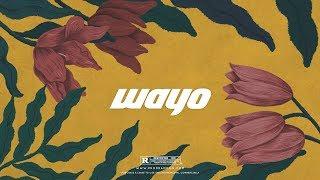 "Wayo" - Wizkid x J Balvin Type Beat