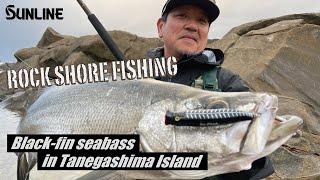 【JAPANESE ROCKSHORE FISHING!!】Big Black-fin Seabass In Tanegashima Island.