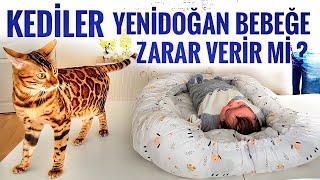 KEDİLER YENİDOĞAN BEBEĞE ZARAR VERİR Mİ?MİNTİK'İN BEBEĞİMİZLE İLK KARŞILAŞMASI TEPKİSİ ALIŞMA SÜRECİ