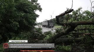 В Днепре на Криворожском шоссе на дорогу упали сразу несколько деревьев