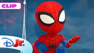 MARVEL SPIDEY Y SU SUPEREQUIPO: Zola, el aguafiestas  | @DisneyJuniorES