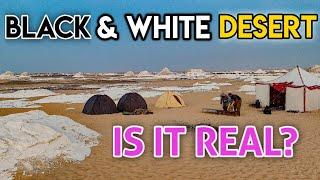 Black Desert and White Desert EGYPT || Desert Safari and Night Camping in Sahara Desert