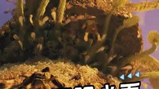 游戏名Towers of Aghasba steam游戏 3d大作 游戏 超高清画质 多人联机