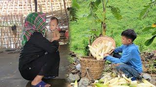 The boy went looking for bamboo shoots and sent the baby to the woman to take care of him