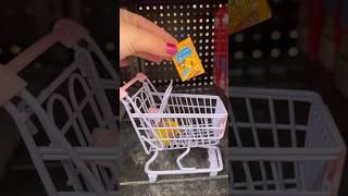 Mini Shopping At Walmart! #minis #minishopping #miniature